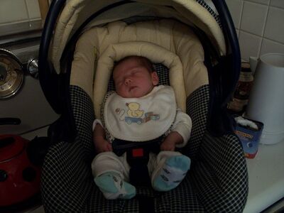 Me asleep in the carseat with bee socks