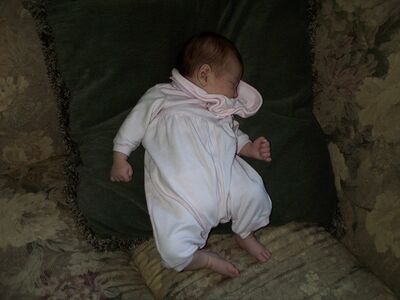 Propped up on the couch pillow