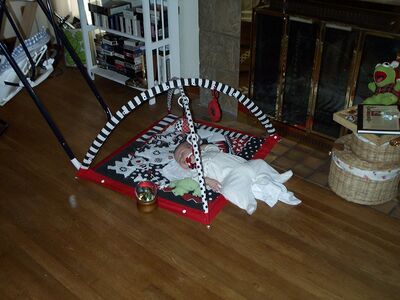 Me playing on the playgym