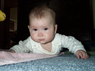 This crawling is serious business