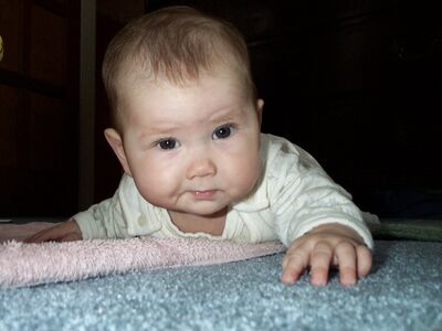 This crawling is serious business