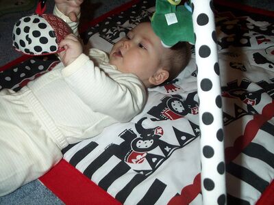 Me in striped outfit on playgym