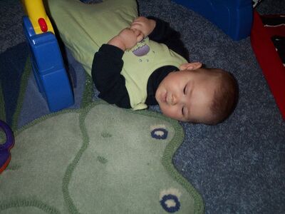 Me looking at frog rug