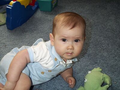 DCP_3390.JPG