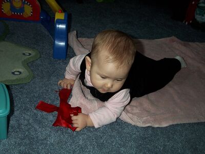 DCP_3426.JPG