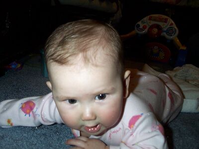 DCP_3441.JPG