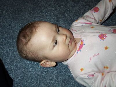 DCP_3466.JPG