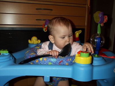 DCP_3481.JPG
