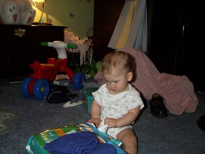 DCP_3779.JPG