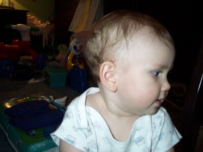 DCP_3780.JPG