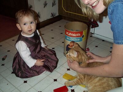 DCP_3815.JPG