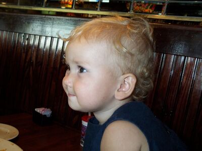 DCP_4304.JPG