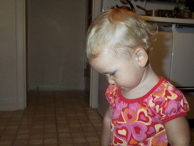 DCP_4371.jpg