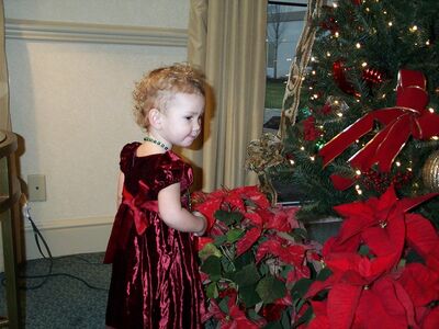 DCP_4660.JPG