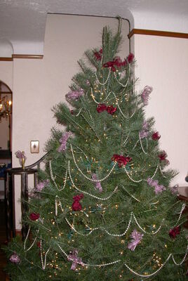 DSCN0017.JPG