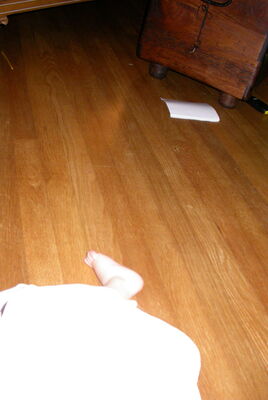 DSCN0038.JPG