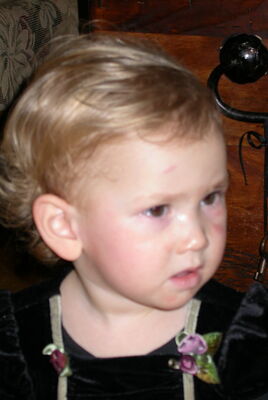 DSCN0045.JPG