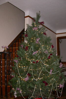 DSCN0055.JPG