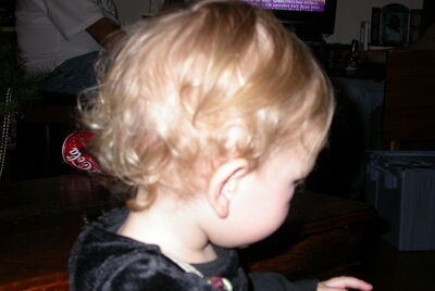 DSCN0061.JPG