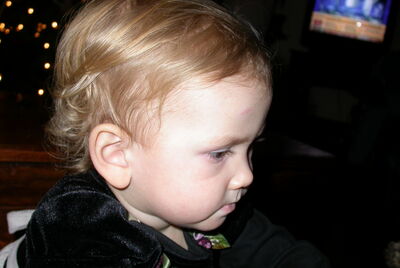 DSCN0065.JPG
