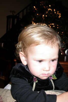 DSCN0071.JPG
