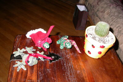 DSCN0250.JPG