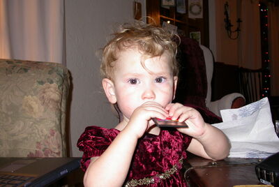 DSCN0251.JPG