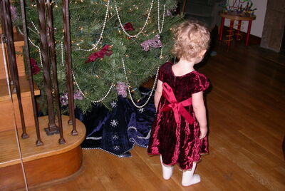 DSCN0258.JPG