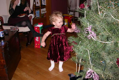 DSCN0259.JPG
