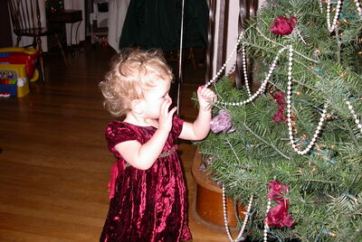 DSCN0260.JPG