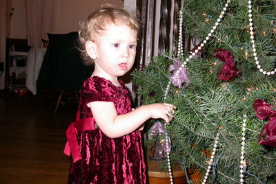 DSCN0262.JPG