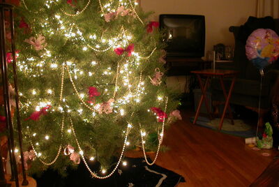 DSCN0265.JPG