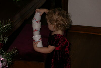 DSCN0267.JPG