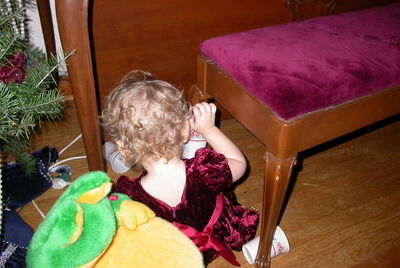 DSCN0269.JPG
