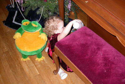 DSCN0270.JPG