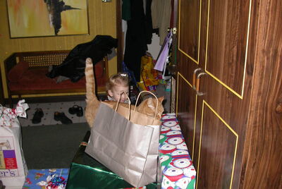 DSCN0086.JPG