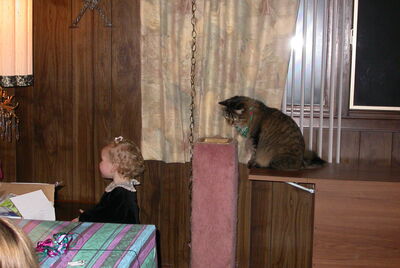 DSCN0144.JPG