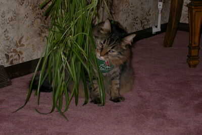 DSCN0177.JPG