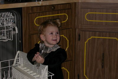 DSCN0180.JPG