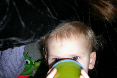DSCN0310.JPG