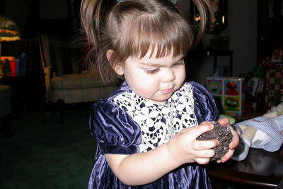 DSCN0311.JPG