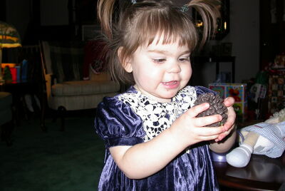 DSCN0312.JPG