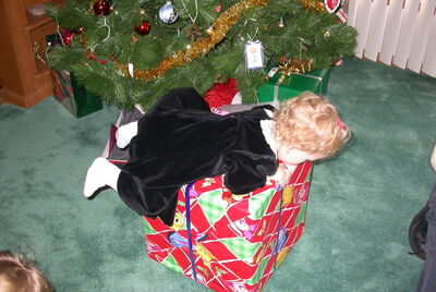 DSCN0338.JPG