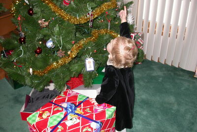 DSCN0339.JPG