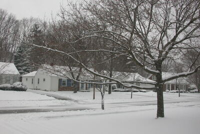DSCN0341.JPG