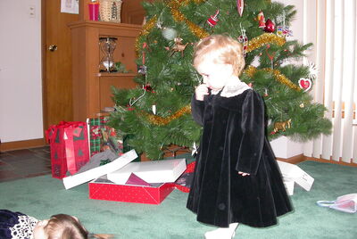 DSCN0363.JPG