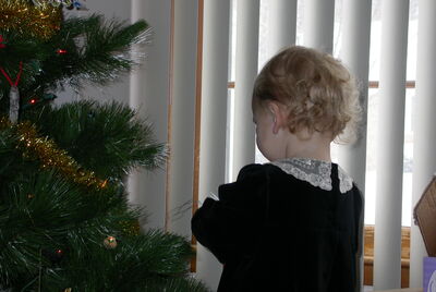 DSCN0368.JPG