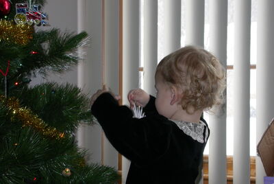 DSCN0369.JPG