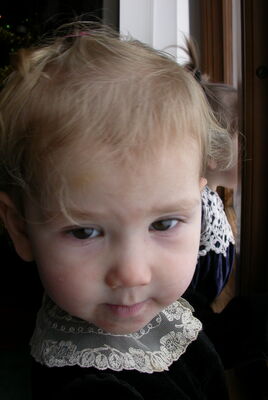 DSCN0385.JPG