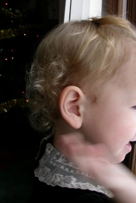 DSCN0387.JPG